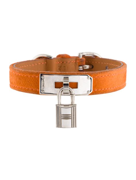 hermes dog accessories.